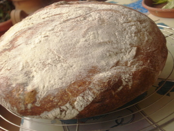 paneKef.JPG