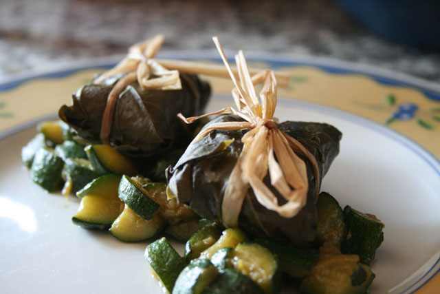 89fagottinivitericciola.jpg