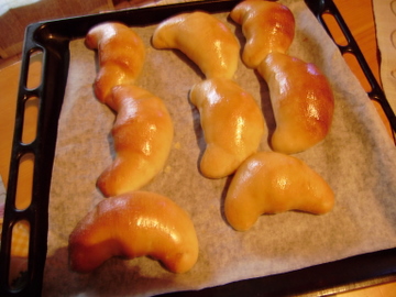 PB070003.JPG
