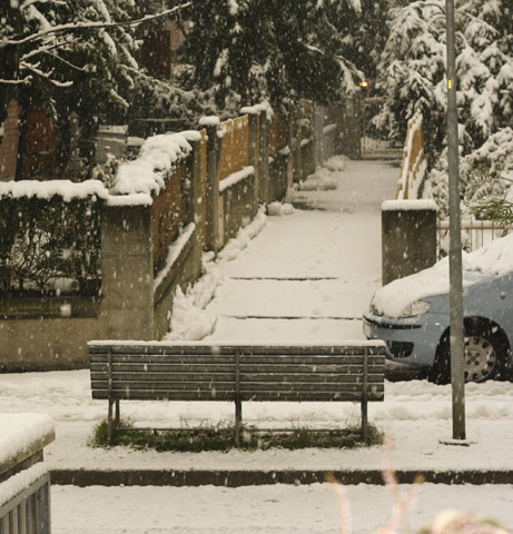 neve-2m.jpg