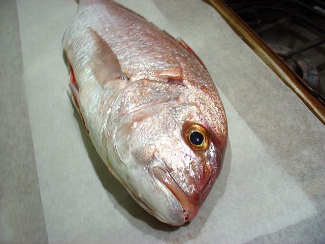 dentice 003.jpg