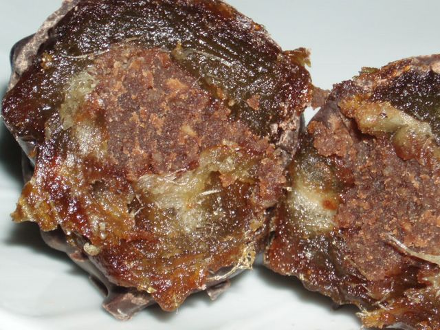 P1010062.JPG