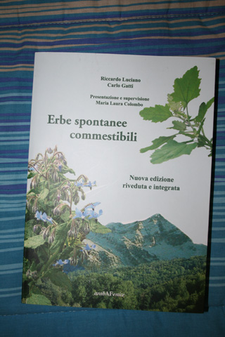 Foto 408 book01.jpg