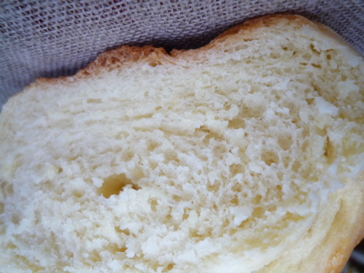 mollica.jpg