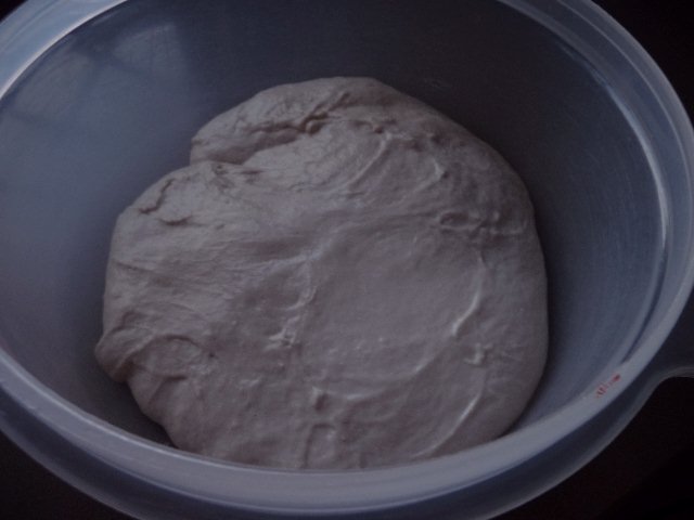 Impasto Lenta Maturaz dopo 20 minuti G.jpg