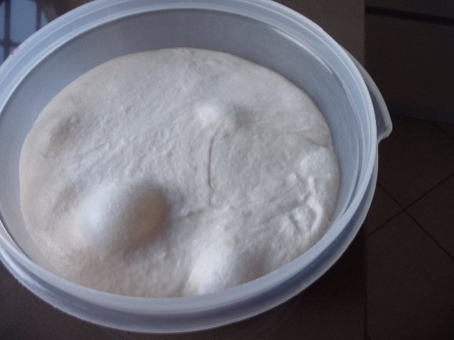 Impasto Lenta Maturaz dopo 48 h 1 G.jpg