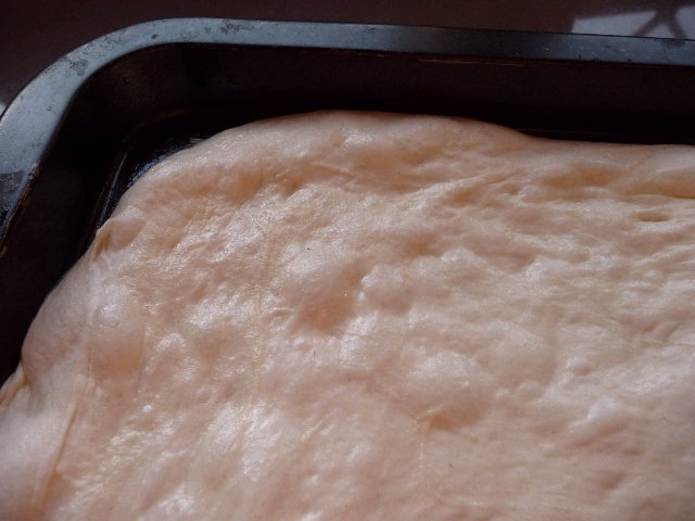 Impasto Lenta Maturaz Bolla 2 G.jpg