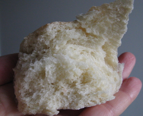 mollica.JPG