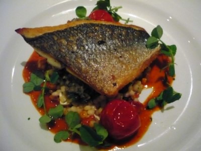 P1180393 [400x300].JPG
