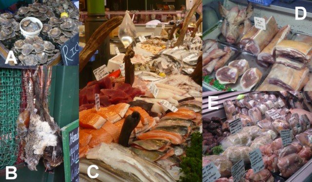 Borough Market1 [640x480].jpg