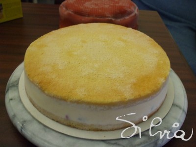 DSCF1265.jpg