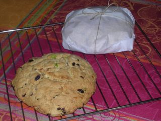 DSCN1461.JPG