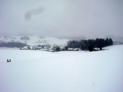 P1190694 [400x300].JPG