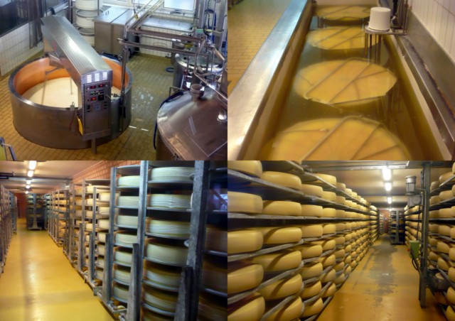 Emmental [640x480].jpg