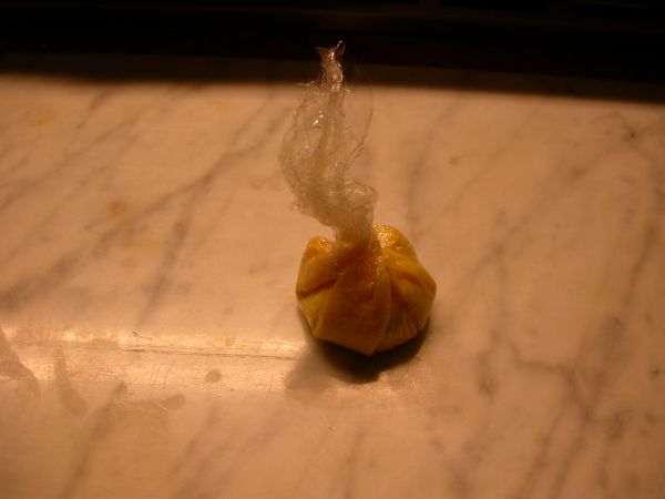 saccottini.jpg