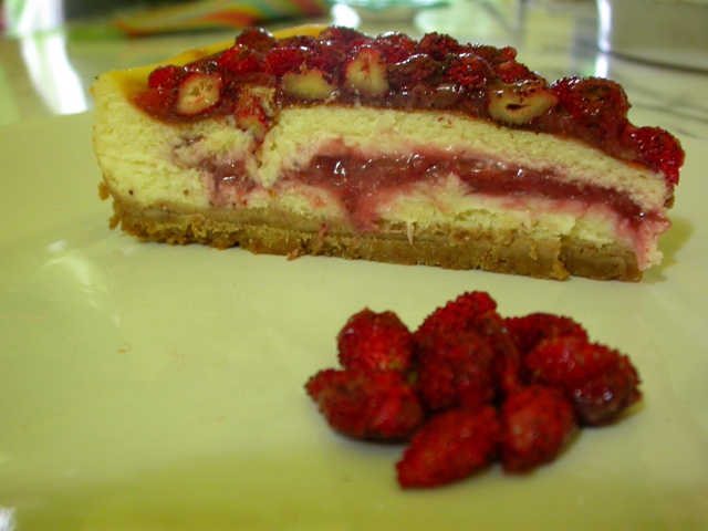 DSCN2955r.JPG