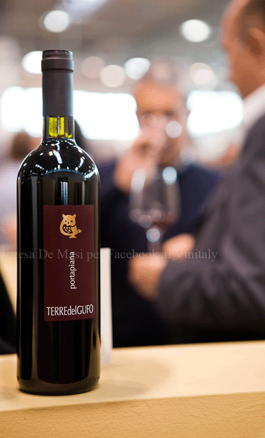 vinitaly-9 copy.gif
