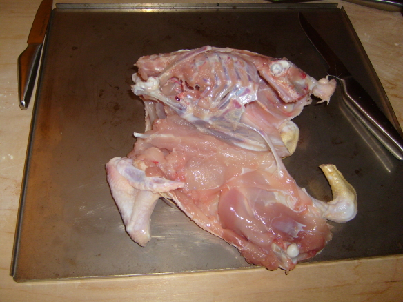 foto4.JPG