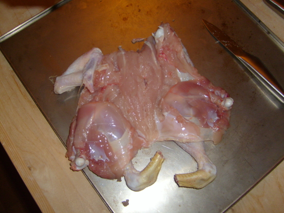 foto6.JPG
