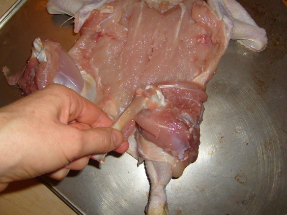 foto7.JPG