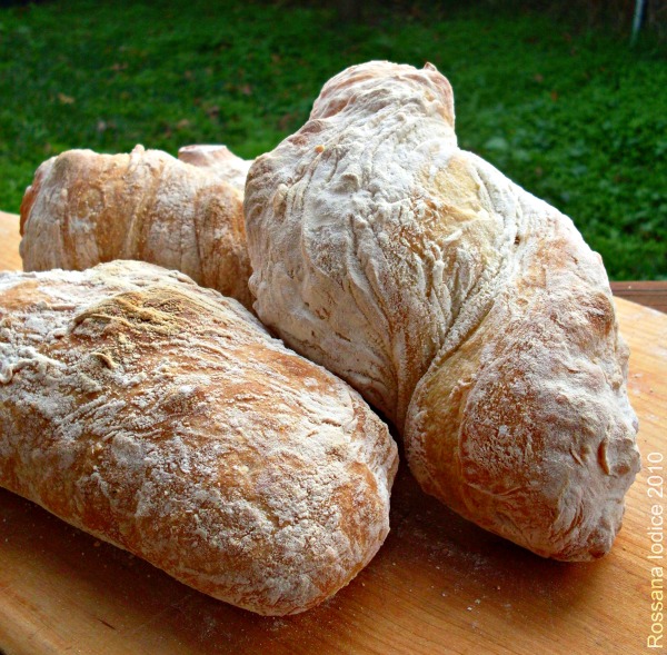 ciabatta_noknead1.jpg
