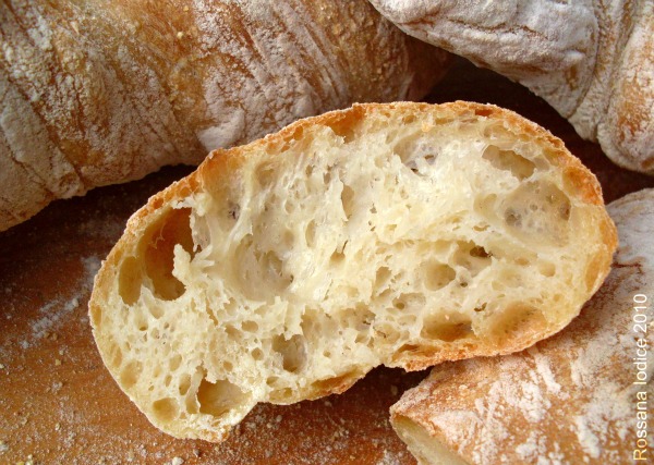 ciabatta_noknead3.jpg