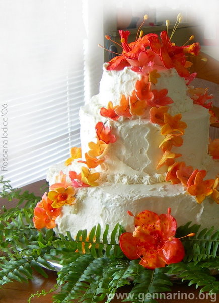 nicolescake_lg-1.jpg