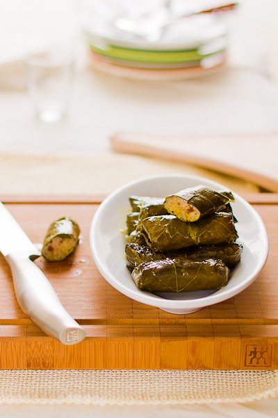 Involtini di foglie di vite-34-Edit.jpg