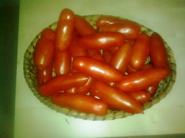 SanMarzano_06.jpg