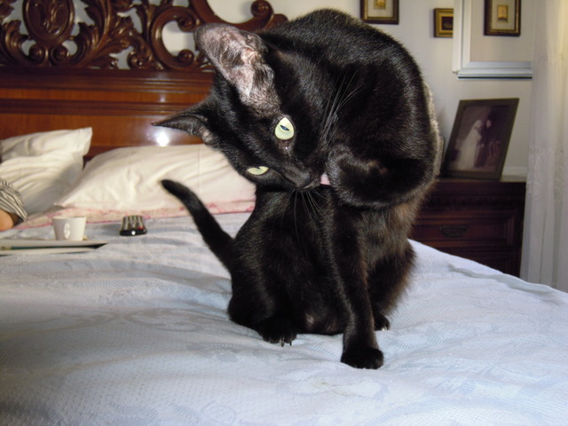 DSCN0005.jpg