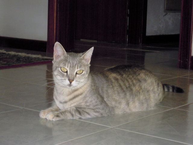 DSCN0034.JPG