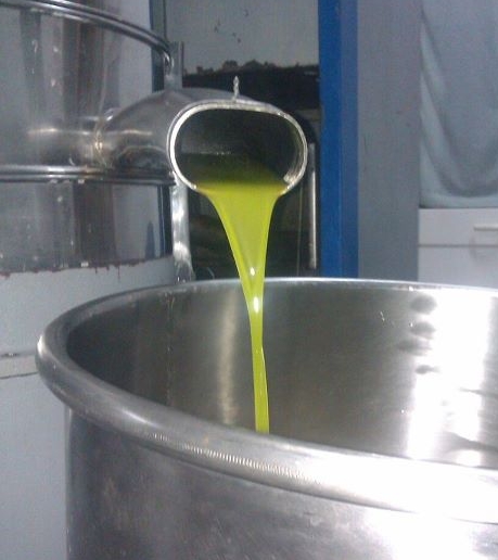 olio.jpg
