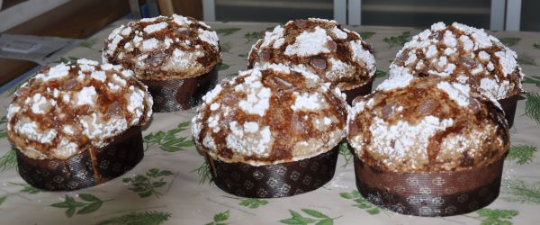 Panettone Paoletta 1.jpg