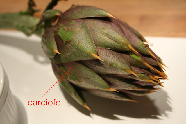 Carciofo 00.jpg