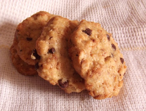 Gallette ai fiocchi d'avena.JPG