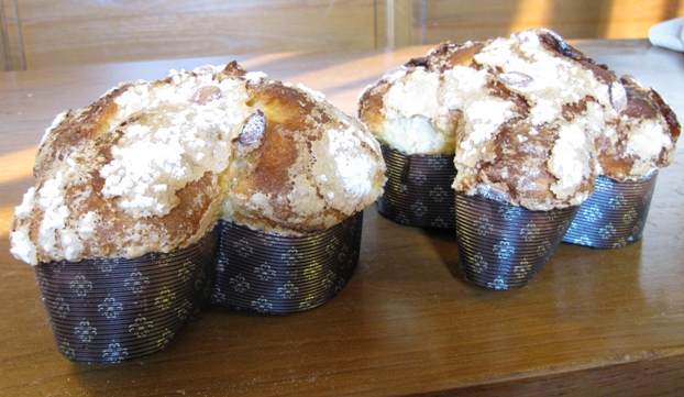 colomba  lm adriano.jpg