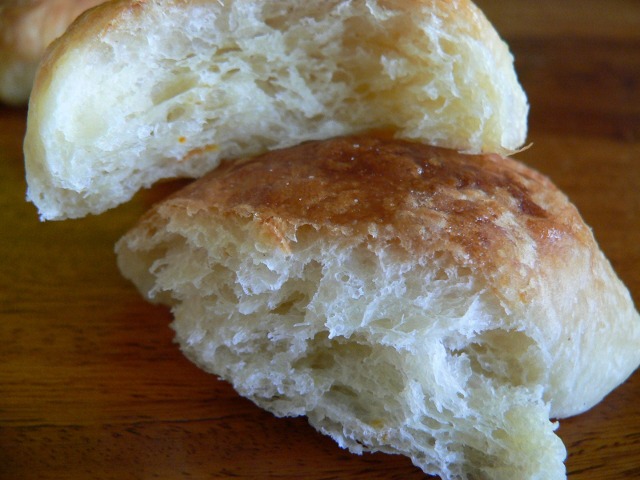 P1000030.jpg