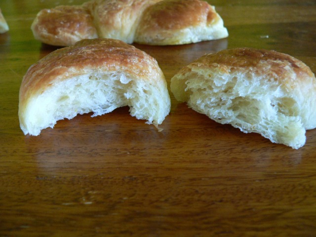 P1000029.jpg