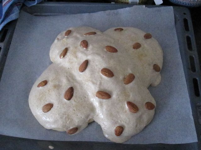 colomba.gennarino1.jpg