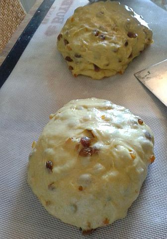 panettone prima della pirlatura.jpg