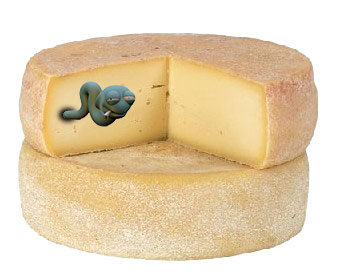 formaggio-avariato.jpg