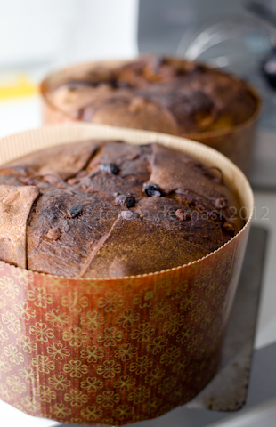 pate a bombe-17.jpg