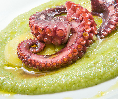 Polpo con crema di scarole e patate alla colatura di alici.jpg