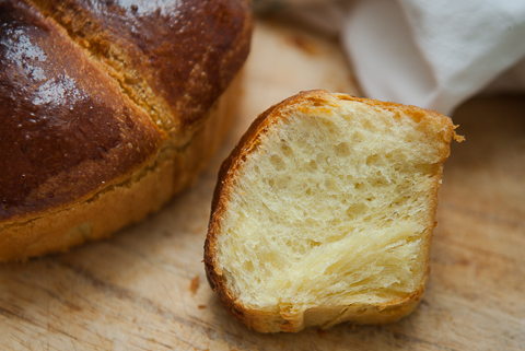brioche felder-9.jpg