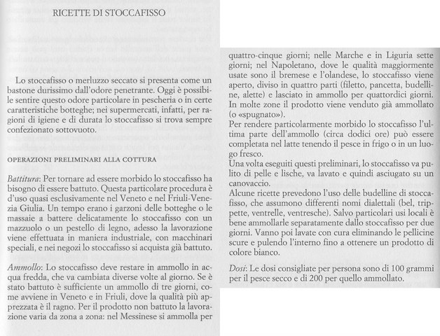 stocco [640x480].jpg