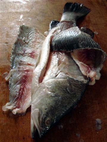 menù 021 (Small).jpg