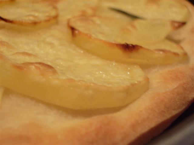 IMGP2088 (Small).JPG