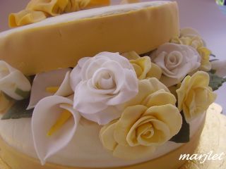 Immagine 3836.jpg