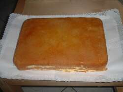 pan di spagna