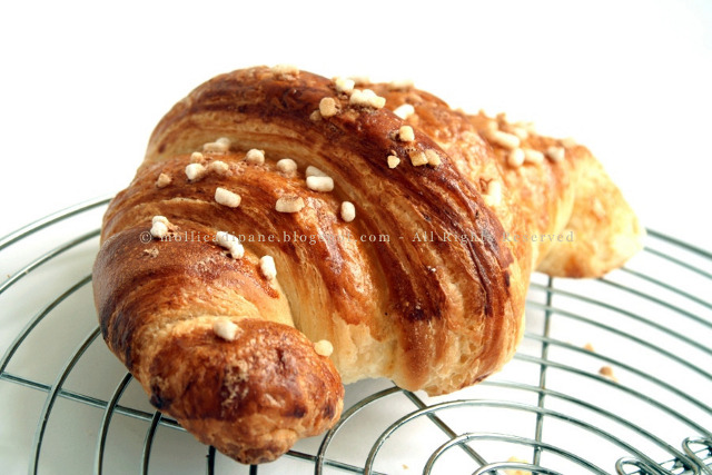 croissants paoletta g.jpg